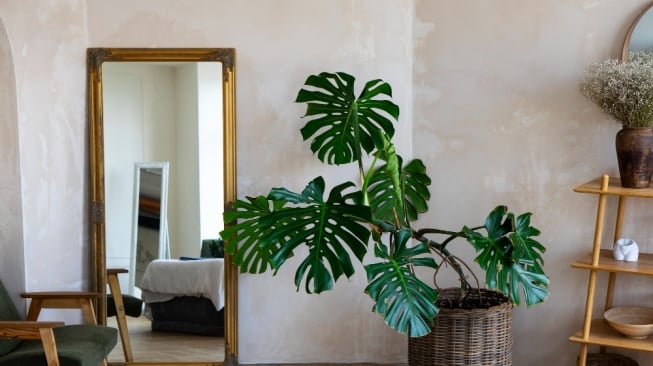 Desain dekorasi rumah ala Pinterest. [Freepik]