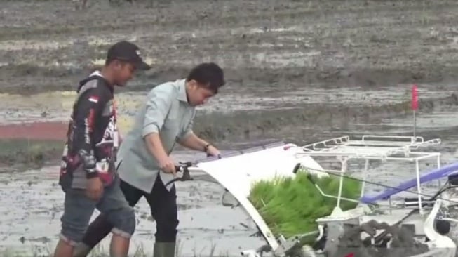 Cara Kerja Rice Transplanter, Mesin Tanam Padi yang Bikin Gibran Ramai Cibiran