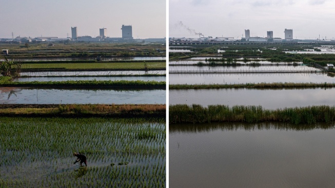 Foto kolase seorang petani menanam bibit padi di lahan pertanian Desa Sayung, Kecamatan Sayung pada 23 April 2021 (kiri) dan lahan pertanian yang beralih fungsi menjadi tambak maupun ditinggalkan akibat intrusi air laut (kanan) yang melanda Desa Sayung, Kecamatan Sayung, Kabupaten Demak, Jawa Tengah, Selasa (27/5/2025). [ANTARA FOTO/Aji Styawan/bar]