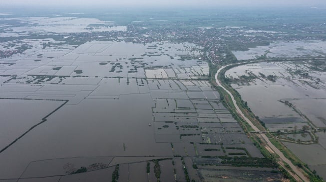 Foto udara lahan pertanian dengan jarak sekitar tujuh kilometer dari garis pantai pesisir Sayung telah beralih fungsi menjadi tambak maupun ditinggalkan akibat intrusi air laut yang melanda Desa Sayung, Kecamatan Sayung, Kabupaten Demak, Jawa Tengah, Selasa (27/5/2025). [ANTARA FOTO/Aji Styawan/bar]