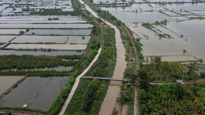 Foto udara Sungai Dombo-Sayung (tengah) dan lahan pertanian dengan jarak sekitar tujuh kilometer dari garis pantai pesisir Sayung (kanan-kiri) telah beralih fungsi menjadi tambak maupun ditinggalkan akibat intrusi air laut yang melanda Desa Sayung, Kecamatan Sayung, Kabupaten Demak, Jawa Tengah, Selasa (27/5/2025). [ANTARA FOTO/Aji Styawan/bar]
