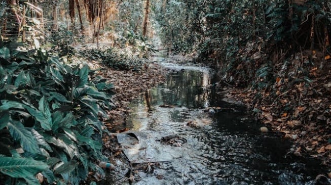 Ilustrasi pencemaran sungai - polusi air. (Photo by Denniz Futalan/Pexels)