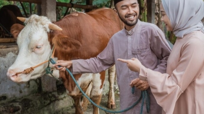 Apakah Hewan Kurban Kelak Masuk Surga? Begini Jawaban para Ulama