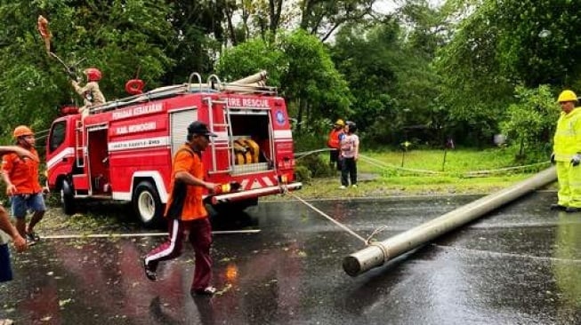 Macet Horor di Wonogiri-Pacitan: Jalur Terblokir Tiang Roboh dan Pohon Tumbang