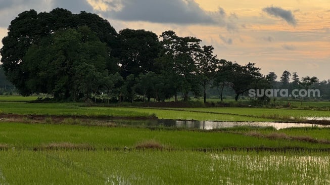 7 Pekerjaan Menjanjikan di Desa: Kaya Raya di Kampung Halaman