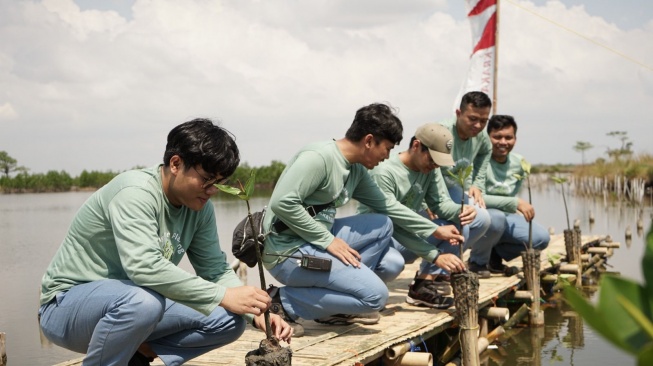 Industri Baja Hijau, Krakatau Posco Integrasikan ESG dalam Strategi Bisnis lewat Konservasi Mangrove
