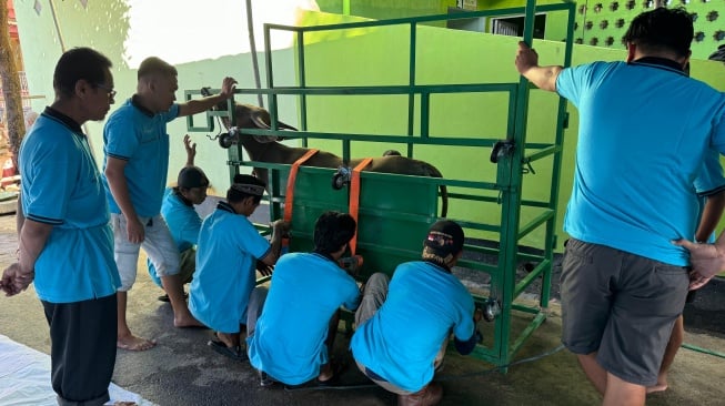Tips Merancang Kegiatan Produktif Saat Liburan Idul Adha