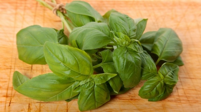 Basil (Freepik/jcstudio)