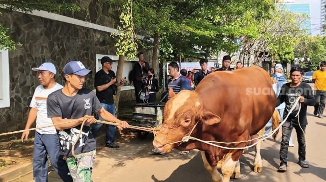 Suasana perayaan Idul Adha di kediaman Dewi Perssik kawasan Lebak Bulus, Jakarta, Jumat, 6 Juni 2025. [Suara.com/Adiyoga Priyambodo]