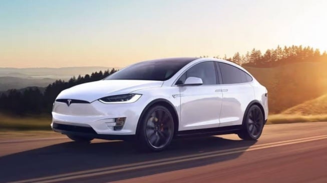 Tesla Model X [oto.com]