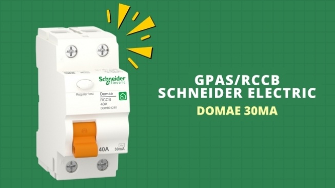 GPAS Schneider Electric Domae (Suara.com)