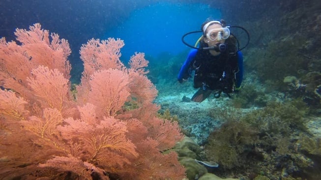 Surga Terancam? Tambang Nikel Gemparkan Raja Ampat, Nadine Chandrawinata Angkat Bicara!