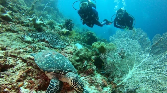 Nadine Chandrawinata ungkap dampak eksploitasi tambang nikel di Raja Ampat (Instagram)