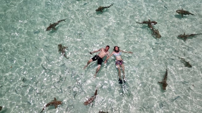 Nadine Chandrawinata ungkap dampak eksploitasi tambang nikel di Raja Ampat (Instagram)
