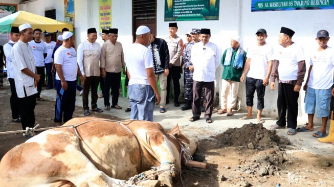 Serdang Bedagai Terima Hewan Kurban Berbobot 820 Kilogram dari Presiden Prabowo