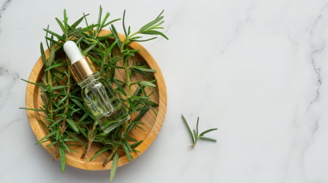 Plot Twist: Tea Tree Oil Ternyata Bukan dari Teh