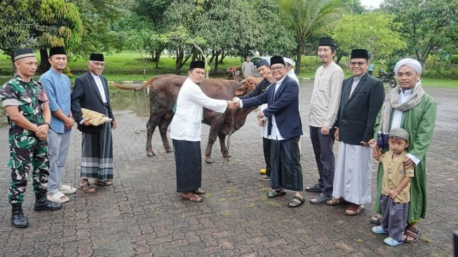 PTBA Tebar Berkah Idul Adha: 219 Sapi dan 73 Kambing Disalurkan ke Masyarakat