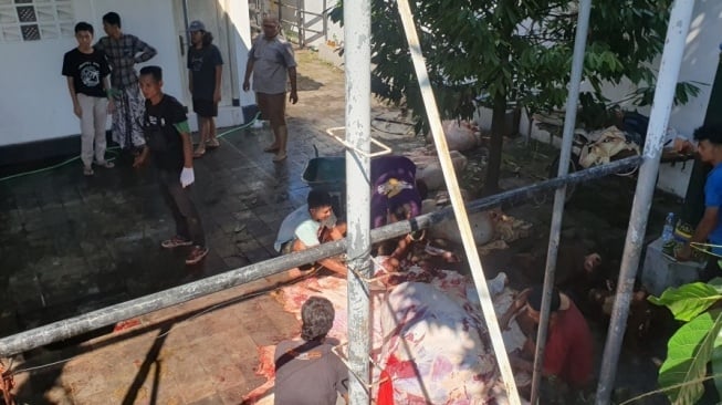 UGM Temukan Cacing Hati di Hewan Kurban, Tapi Ada Penurunan Drastis, Apa Penyebabnya?