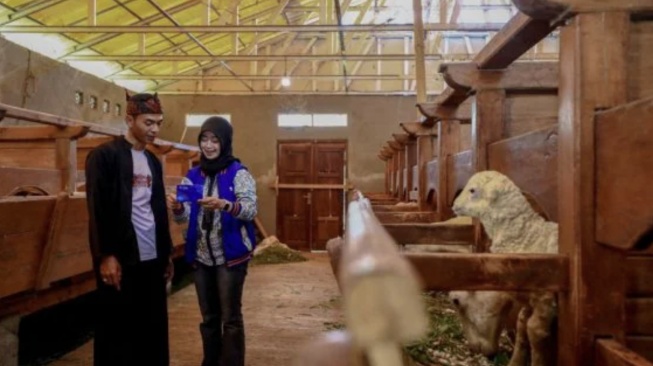 BRI Peduli Tingkatkan Kesejahteraan Peternak dan Ekonomi Desa BRILiaN Sukalaksana