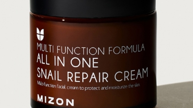  Mizon All In One Snail Repair Cream. [mizon.pfdbrand.com]