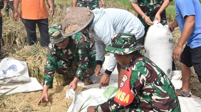 Anggota TNI membantu petani memilah padi. [tniad.mil]
