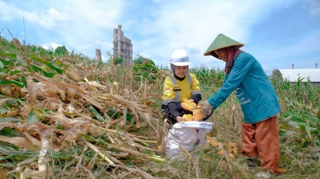 Semen Gresik Sahabat Petani, Ubah Lahan Nganggur Jadi Ladang Emas