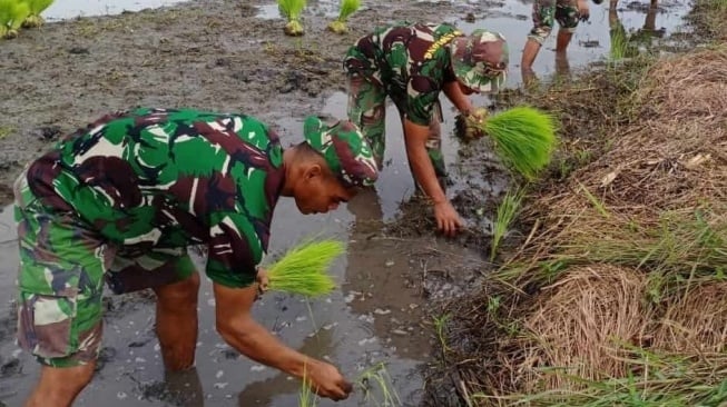 Kekuatan Perang atau Tim Pembangunan? Polemik Tentara Garap Ketahanan Pangan Saat Dunia Memanas