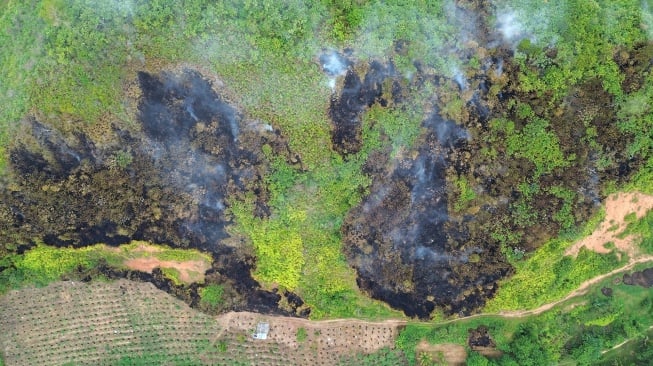 Foto udara kebakaran lahan di Bukit Panjang, Nagari Taram, Limapuluhkota, Sumatera Barat, Selasa (10/6/2025). [ANTARA FOTO/Iggoy el Fitra/foc]