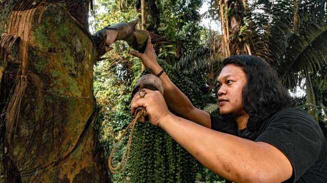 Lawan Modernisasi, Cerita Remaja Bulukumba Pelestari Tradisi Penyadap Nira