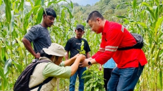 Perwakilan Manajemen bersama peserta pelatihan menanam bibit kopi robusta seusai pelatihan budidaya kopi di Manjolor, Desa Longkotan, Kabupaten Dairi, Sumatera Utara, Jumat, 13 Juni 2025. Guna mendorong pertumbuhan ekonomi masyarakat Dairi, PT DPM bekerjasama dengan Dinas Pertanian, Ketahanan Pangan dan Perikanan Kabupaten Dairi menggelar pelatihan budidaya kopi selama 2 hari kepada 120 petani kopi di 6 desa, Kecamatan Silima Pungga-Pungga, Kabupaten Dairi, Sumatera Utara.(Istimewa)