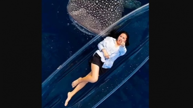 Viral Sisi Gelap Wisata Hiu Paus Gorontalo, Prilly Latuconsina Terseret