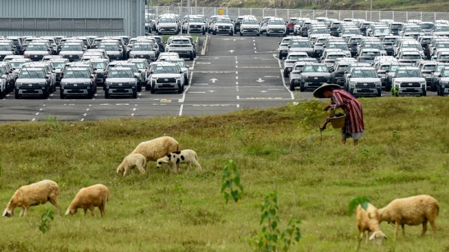 Warga menggembalakan kambing dengan latar belakang deretan unit mobil yang terparkir di pabrik Hyundai Motor Manufacturing Indonesia (HMMI), Cikarang, Kabupaten Bekasi, Jawa Barat, Rabu (18/6/2025). [ANTARA FOTO/Indrianto Eko Suwarso/tom]