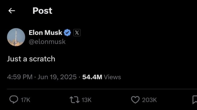 Postingan Elon Musk. [X/@elonmusk]