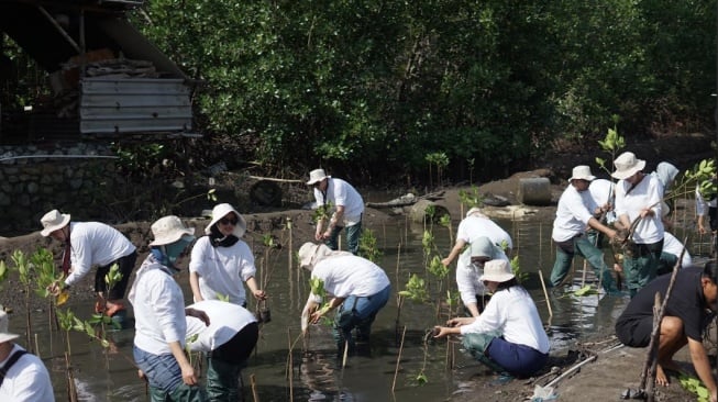 Jawab Krisis Lingkungan, Brand Kecantikan Ini Tanam Mangrove di Lombok