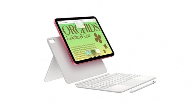 Apple iPad Gen 10. [iBox]