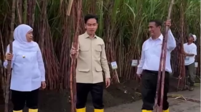 Kesulitan Gunakan Arit Saat Potong Tebu, Wapres Gibran Bikin Warganet Heran: Jadi Bisanya Apa?