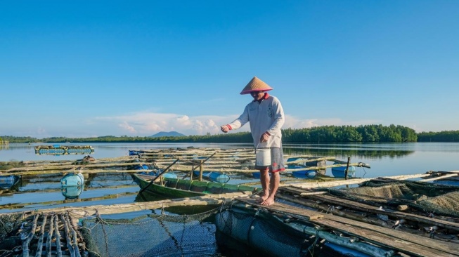 Januari - Mei 2025, BRI Salurkan KUR Rp69,8 Triliun untuk Dorong Sektor Produksi