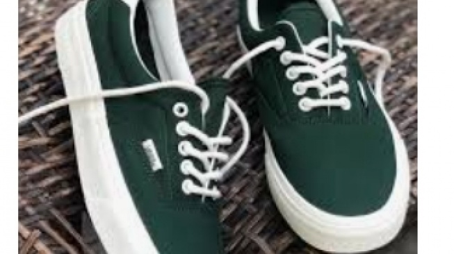 Vans Era