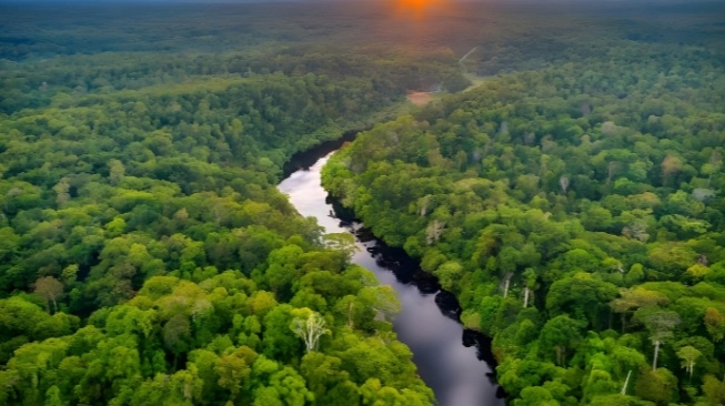Warga Brasil Beri Rating Satu Buat Gunung Rinjani, Netizen Indonesia Balas Serbu Ulasan Hutan Amazon