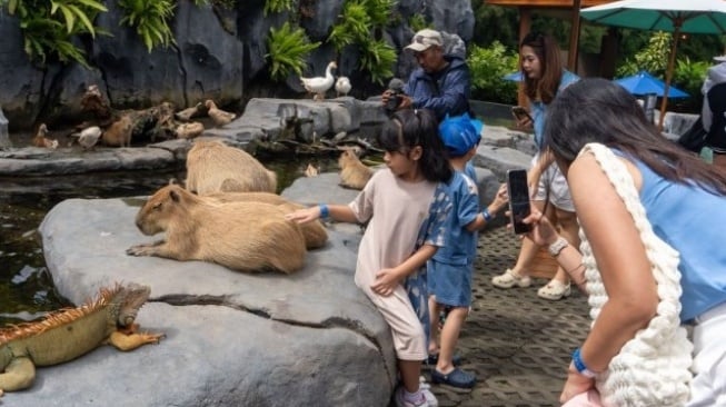 Cara Aman dan Nyaman Berwisata Bersama Anak di Kebun Binatang
