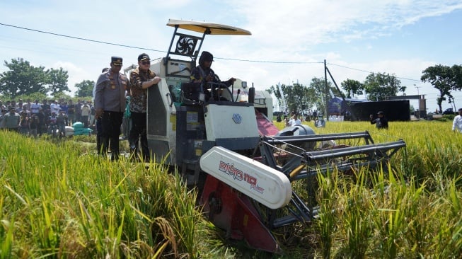 Berkat Terobosan Mas Dhito, Petani Kediri Kembali Bersemangat Tanam Padi: Harga Gabah Naik!