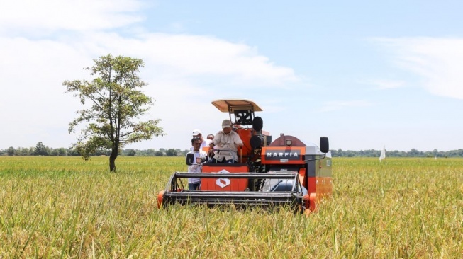 Produksi Beras Nasional Naik 14 Persen, Capai 29,97 Juta Ton hingga Agustus 2025