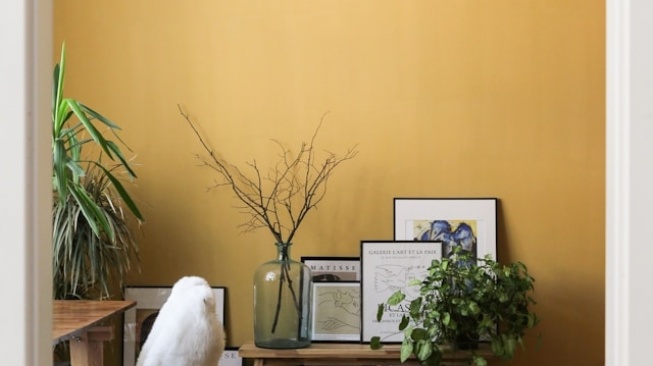 Warna cat rumah. 