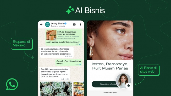 Fitur Iklan di WhatsApp. [WhatsApp]