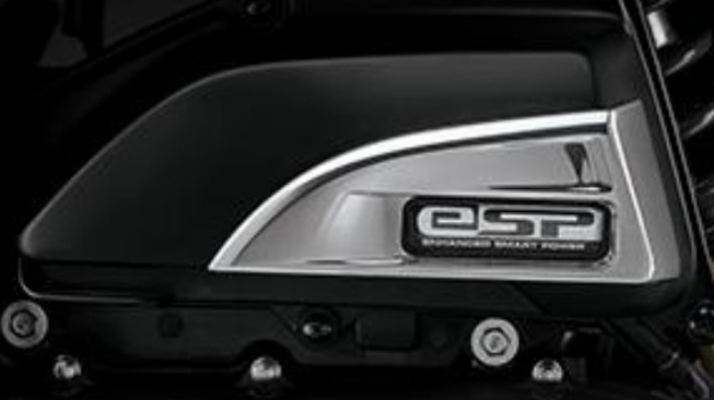 Garnish air Cleaner Honda Scoopy (Hondacengkareng)