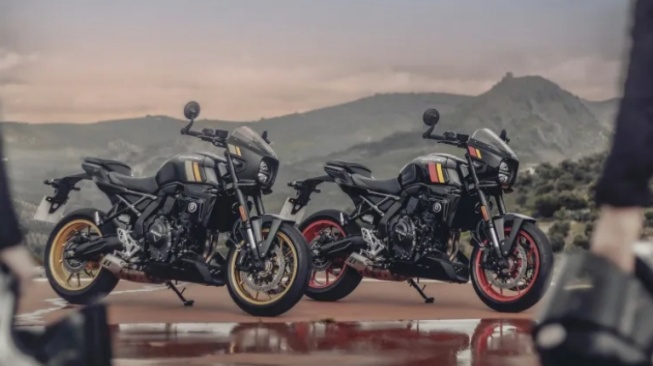 Suzuki GSX-8T (Autoevolution)