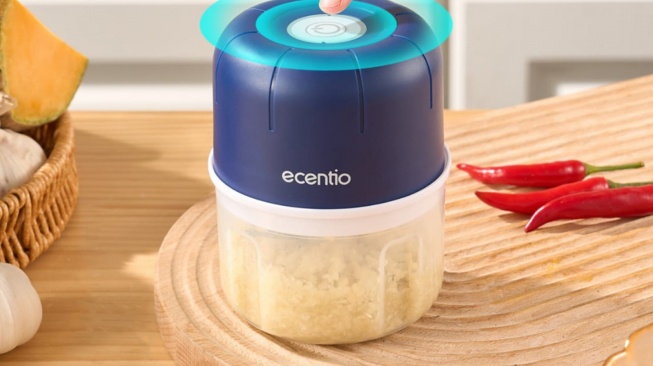 Ecentio Mini Chopper Blender (Ecentio)