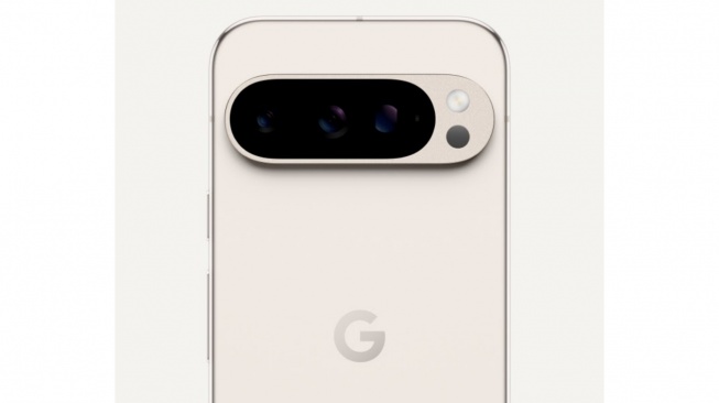 Google Pixel 9 Pro (store.google.com)