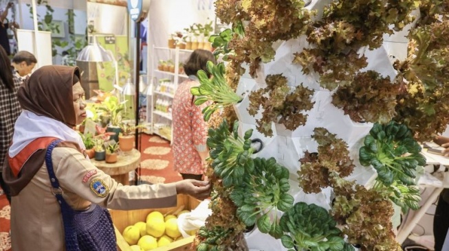 Jakarta Masih Impor 98 Persen Pangan, Urban Farming Jadi Solusi Hijau