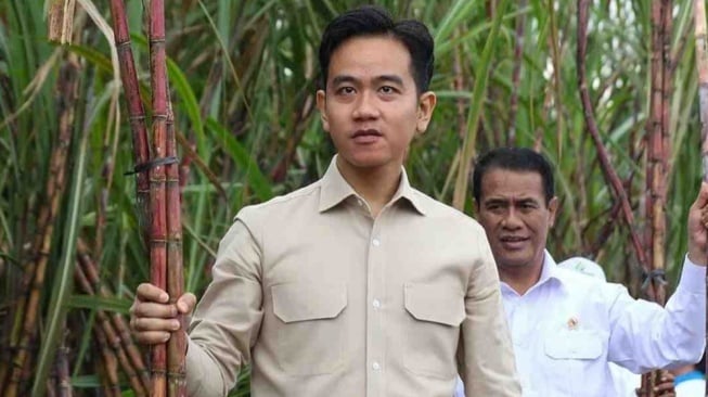 Celurit Gibran Copot saat Panen Tebu, Dimaknai Sinis Jabatan Segera Dicopot